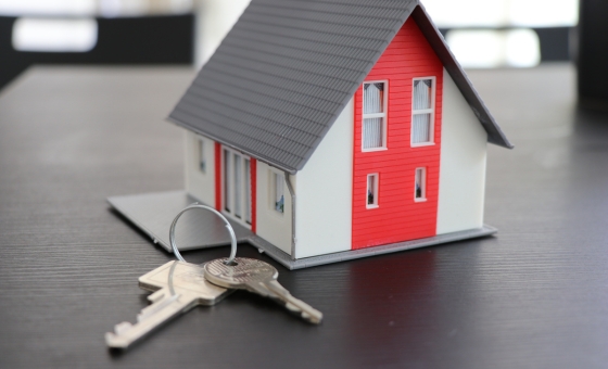 design sans titre (6) design sans titre (6)